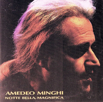 Sanremo 1993 - Amedeo Minghi - Notte bella magnifica