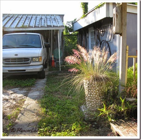 11-04-pink-muhly-4