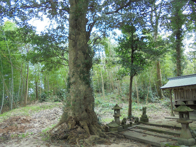 上野・三嶋両神社