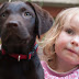 A kutyatartás segít megelőzni a gyerek asztmáját