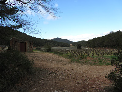 Aiguaviva - Selma - Pla de Manlleu, camí i pellissa