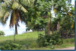 042  World Cruise February 16 24 2012 At Papeete and Moorea Isl Tahiti (72)