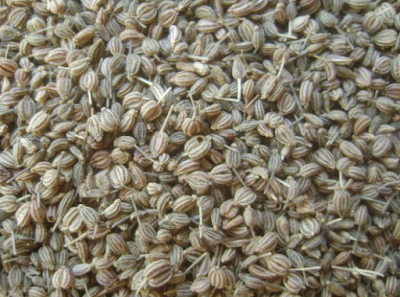 Ajwain (Carom seeds) for Asthma