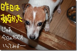 今日カズ１０１２１４　１