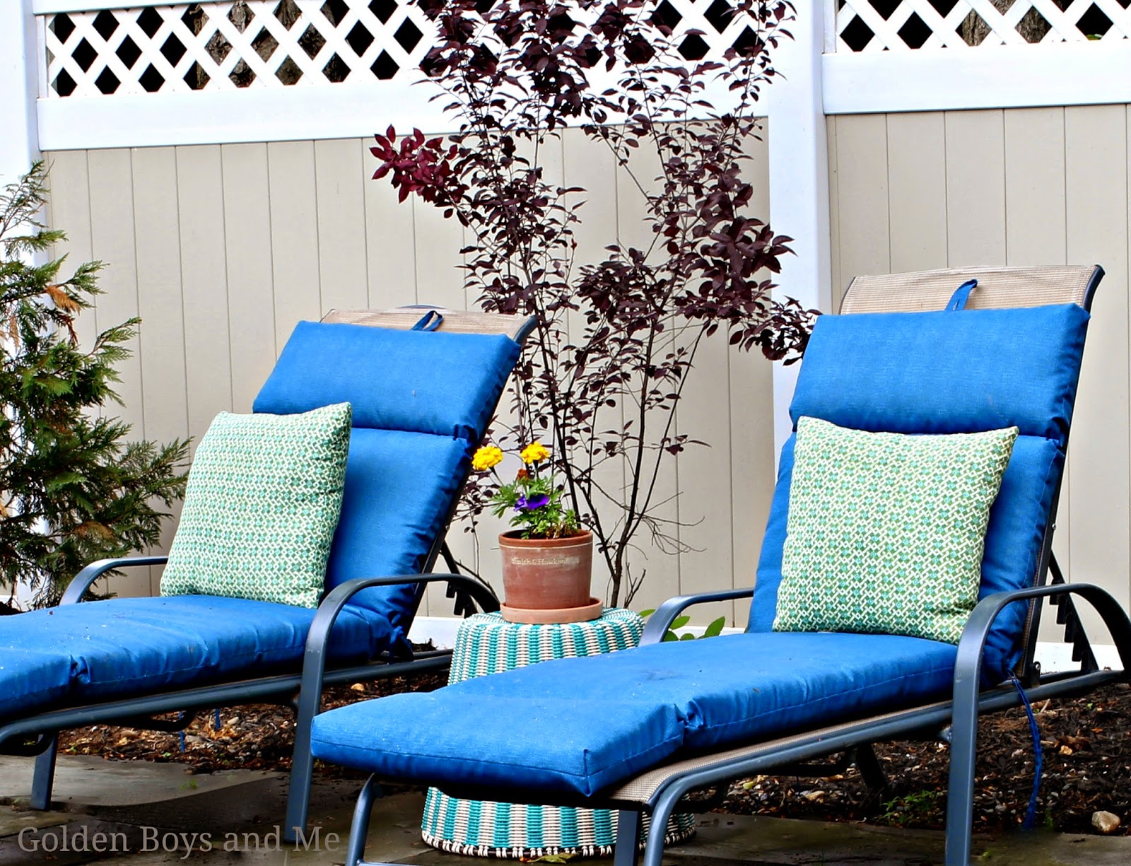 Blue chaise lounge cushions from Christmas Tree Shop-www.goldenboysandme.com