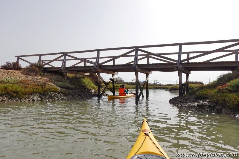 La Magdalena - Caño del Carrascón - Gallineras - Caño de Sancti Petri