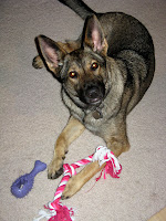 Zada with Knotted Rope Toy