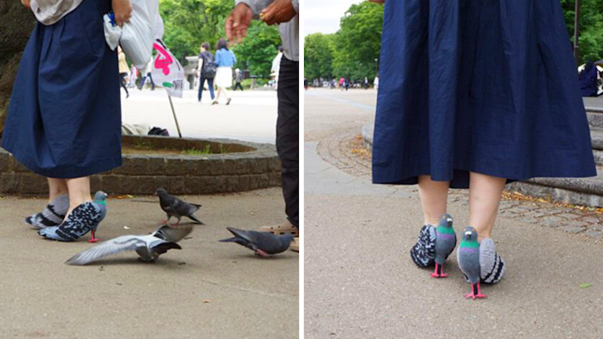 A pair of pigeons you can wear so you can be part of the flock.