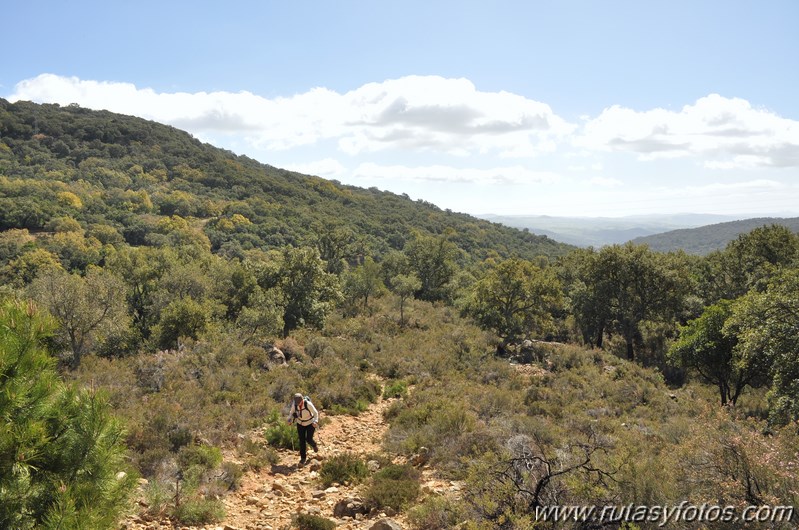 El Colmenar - Jimena de la Frontera