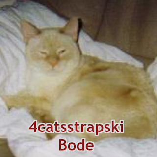 @4catsstrapski Bode