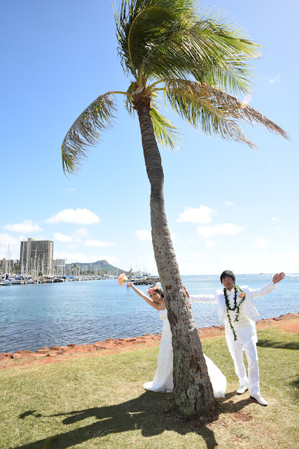 Ala Wai Boat Harbor