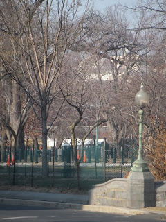 You can just make out the crowds through the trees. We could hear the cheers.