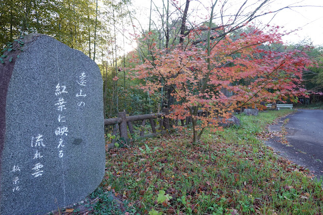 鳥取県西伯郡南部町上中谷 緑水湖 文芸の小径