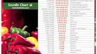 Hottest Pepper Scale