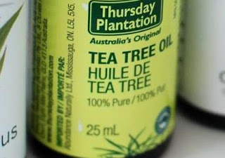 menghilangkan jerawat dengan cepat adalah tea tree oil