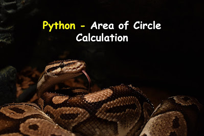 Python - Area of Circle Calculation