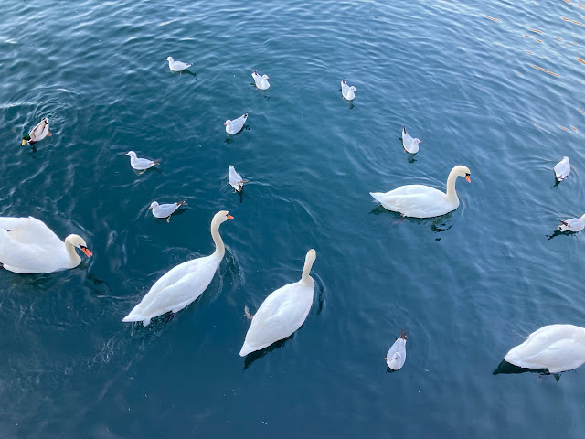 Lungolago-Como