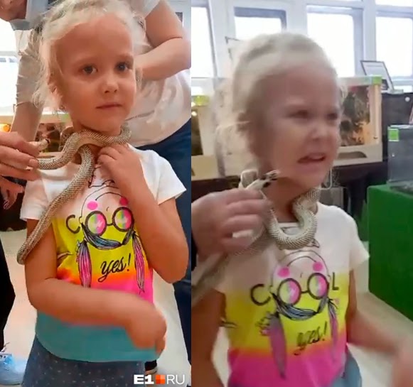 Terrifying moment girl, 5, is bitten on face by snake at petting zoo