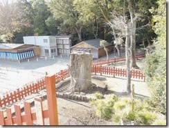 IMGP0300