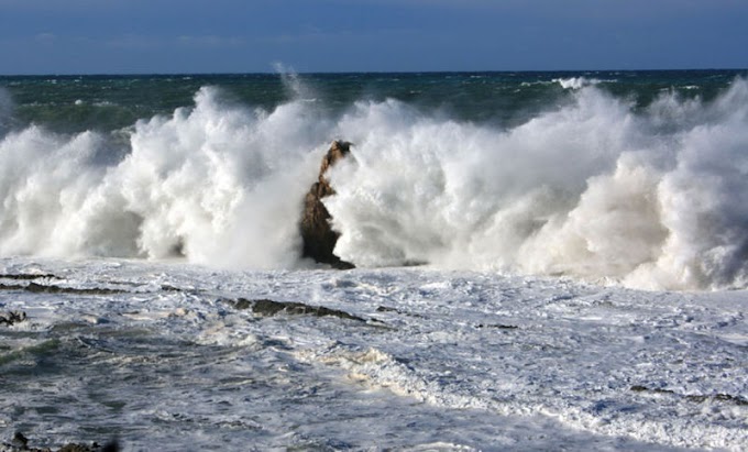 Estados / Alertan por mar de fondo en Oaxaca debido a tormenta tropical “Rosa”