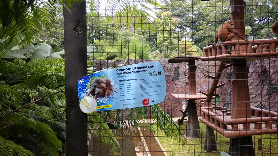 Bandung Zoo Liburan Menarik ke Tempat Wisata di Bandung