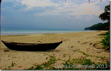 the beach view