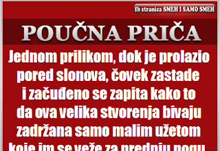 SLONOVI