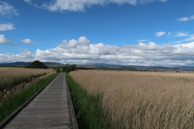 Tamar Island Wetlands