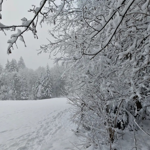 kufstein escursioni invernali ciaspole