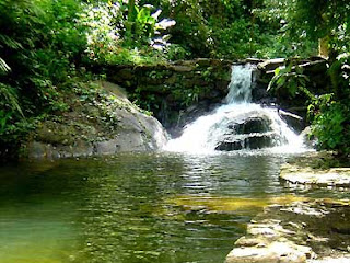 Educação ambiental informal