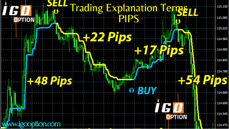 Trading Explanation Terms -PIPS