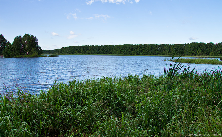 Пейзаж с озером | Landscape with a lake