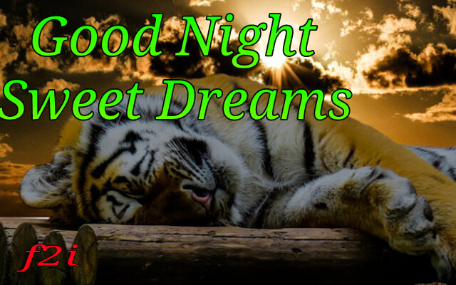 Good Night Image Download 