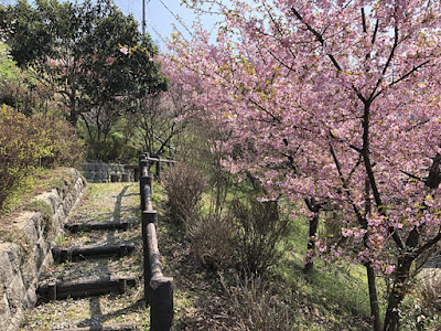 2018 広橋梅林