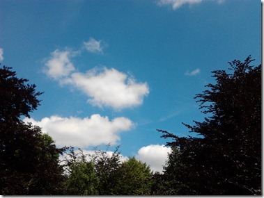 2012-07-22 13.38.11