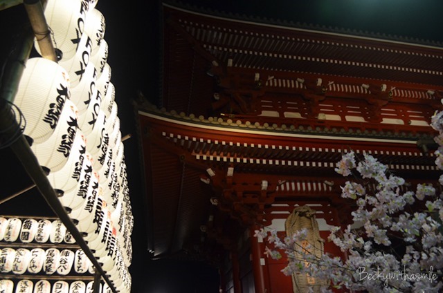 2013-04-27 Tokyo 044