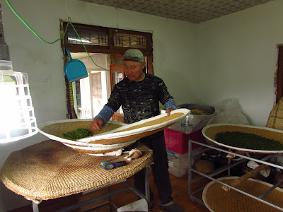 Mr Shin maitre dans la fabrication du thé et en art martiaux.