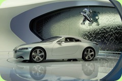 Salon de GENEVE 2010 032