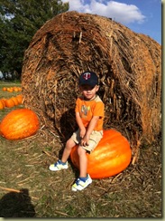 sitting on pumpkin