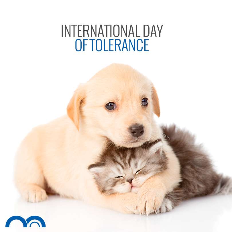 International Day For Tolerance Wishes Unique Image