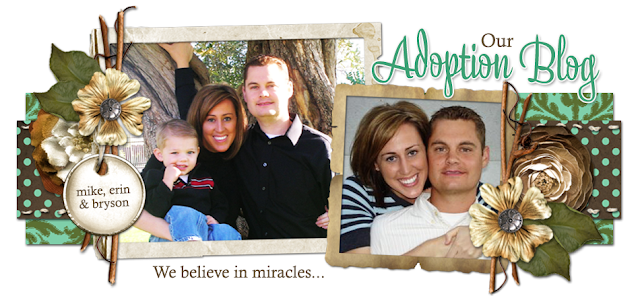 Mike and Erin Adoption Blog Design