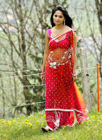 Anushka, Pix, From, Dhamarukam