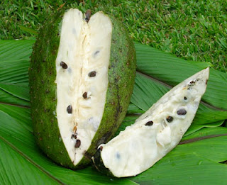 Manfaat buah dan daun sirsak