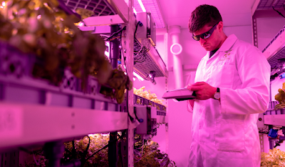 How to Become a Nanotechnology Engineer