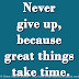 Never give up, because great things take time.