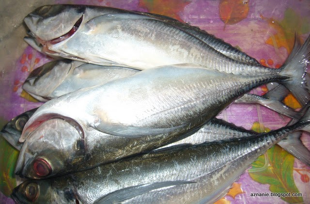 Tentang Aku: Ikan Cencaru Bakar Cicah Air Asam 