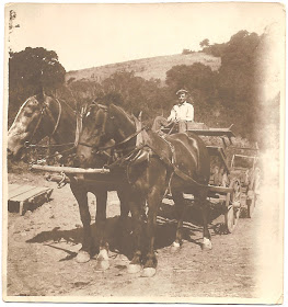 rural farm work with horses in southern California