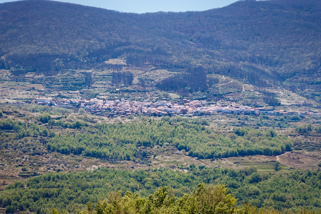 El Valle del Jerte en floración