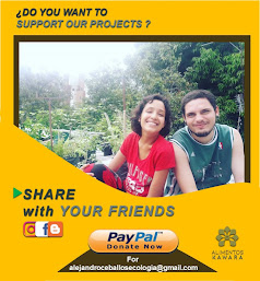 DONATE HERE