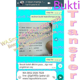 Hub. Siti +6285229267029(SMS/Telpon/WA) Matras Kesehatan Tiens Kudus Distributor Agen Stokis Cabang Toko Resmi Tiens Syariah Indonesia